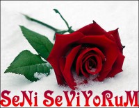 /album/seninicin/seni-seviyorum-11-jpg/